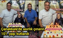Çanakkale’de asırlık çınarın 101. yaşı kutlandı