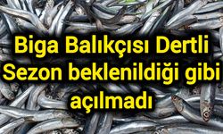 Biga balıkçısı dertli: Sezon beklenildiği gibi açılmadı