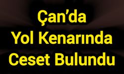Çan’da Yol Kenarında Cansız Beden Bulundu