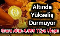 Altında yükseliş durmuyor! Rekor üstüne rekor