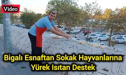 Bigalı Esnaftan Sokak Hayvanlarına Yürek Isıtan Destek