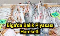 Biga’da Balık Piyasası Hareketli