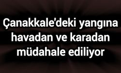 Çanakkale'deki yangına havadan ve karadan müdahale ediliyor