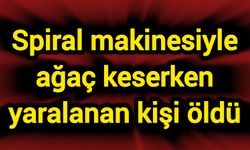 Spiral makinesiyle ağaç keserken yaralanan kişi öldü
