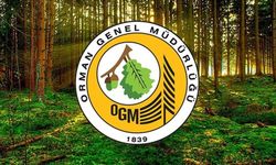 OGM 262 daimi işçi alacak