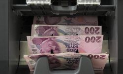 İş kurmak ve işini geliştirmek isteyenlere 2 milyon liraya kadar destek!