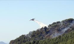 Çanakkale dahil üç ilde orman yangınları sürüyor