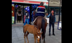 Biga sokaklarında alışılmışın dışında görüntü