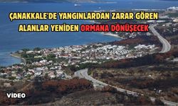 Çanakkale'de yangınlardan zarar gören alanlar yeniden ormana dönüşecek