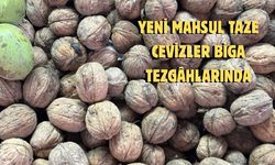 Yeni mahsul taze cevizler Biga tezgâhlarında