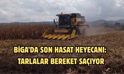 Biga’da son hasat heyecanı: Tarlalar bereket saçıyor