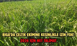 Biga’da çeltik ekimine kesinlikle izin yok! 2026 için net talimat