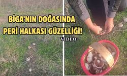 Biga’nın doğasında peri halkası güzelliği!