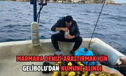 Marmara Denizi araştırmak için Gelibolu'dan numune alındı