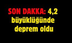 SON DAKİKA:  4,2 büyüklüğünde deprem oldu