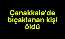 Çanakkale'de bıçaklanan kişi öldü