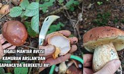 Bigalı mantar avcısı Kamuran Arslan’dan Sapanca’da bereketli av!