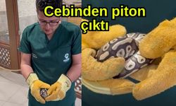 Cebinden piton çıktı