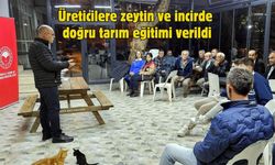 Üreticilere zeytin ve incirde doğru tarım eğitimi verildi
