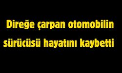 Direğe çarpan otomobilin sürücüsü hayatını kaybetti