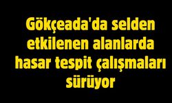 Gökçeada'da selden etkilenen alanlarda hasar tespit çalışmaları sürüyor