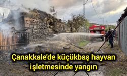 Çanakkale'de küçükbaş hayvan işletmesinde yangın