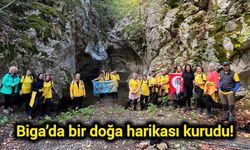 Biga’da bir doğa harikası kurudu!