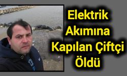 Elektrik Akımına Kapılan Çiftçi Öldü