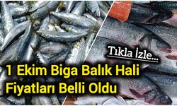 Biga’da tezgâhlar balıkla doldu, fiyatlar netleşti