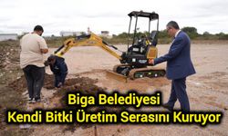 Biga Belediyesi Kendi Bitki Üretim Serasını Kuruyor
