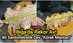 Biga'da Rekor Av! 40 Santimetrelik Dev "Körek Mantarı"