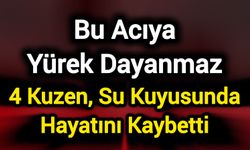 4 Kuzen, Su Kuyusunda Hayatını Kaybetti