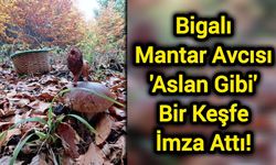 Bigalı Mantar Avcısı 'Aslan Gibi' Bir Keşfe İmza Attı!
