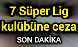 7 Süper Lig kulübüne ceza