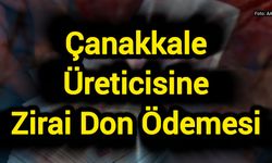 Çanakkale Üreticisine Zirai Don Ödemesi