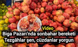 Biga Pazarı’nda sonbahar bereketi: Tezgâhlar şen, cüzdanlar yorgun