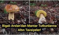 Bigalı Arslan’dan Mantar Tutkunlarına Altın Tavsiyeler!