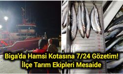 Biga'da Hamsi Kotasına 7/24 Gözetim! İlçe Tarım Ekipleri Mesaide
