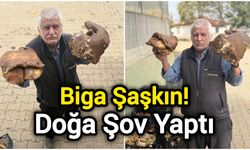 Biga Şaşkın! Doğa Şov Yaptı