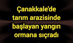 Çanakkale'de tarım arazisinde başlayan yangın ormana sıçradı