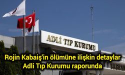 Rojin Kabaiş'in ölümüne ilişkin detaylar Adli Tıp Kurumu raporunda