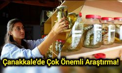 Çanakkale'de Çok Önemli Araştırma!