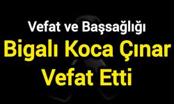 Bigalı Koca Çınar Vefat Etti