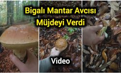 Bigalı Mantar Avcısı Müjdeyi Verdi
