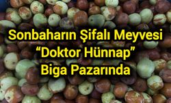 Sonbaharın Şifalı Meyvesi “Doktor Hünnap” Biga Pazarında