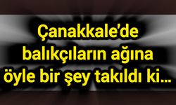 Çanakkale'de balıkçıların ağına öyle bir şey takıldı ki…