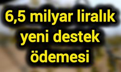 6,5 milyar liralık yeni destek ödemesi