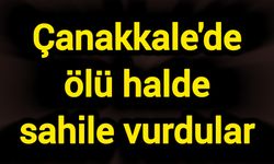 Çanakkale'de ölü halde sahile vurdular