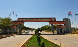 Rojin Kabaiş'in ölümüne ilişkin açıklama