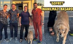 İdrar Kesesinden Tam 147 Taş Çıkarıldı!